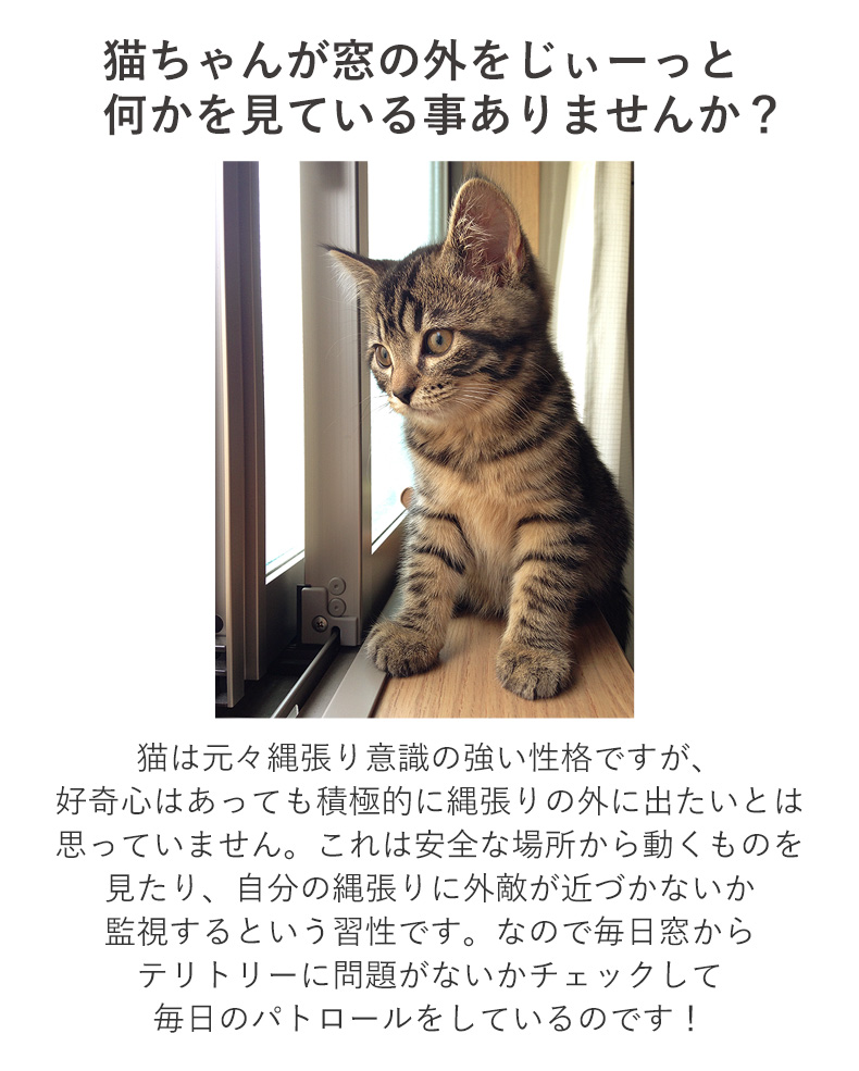 安心の正規品』EZ Mount window Bed イージーマウントウィンドウベッド