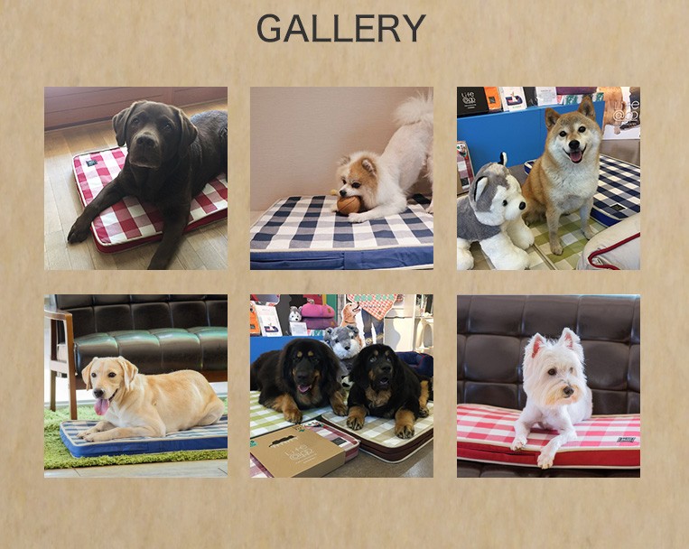 宅送 送料無料 介護用品 健康用品 床ずれ防止 高反発マットレス 薄紅 L 犬用品 犬 いぬ 高反発 カバー 布団 寝る ヘルニア 腰痛 寝たきり シニアイヌ ドッグ Dog グッズペット ペット用品 ぺっと ぺっと用品 クッション 爆安プライス Inalta Com Pe