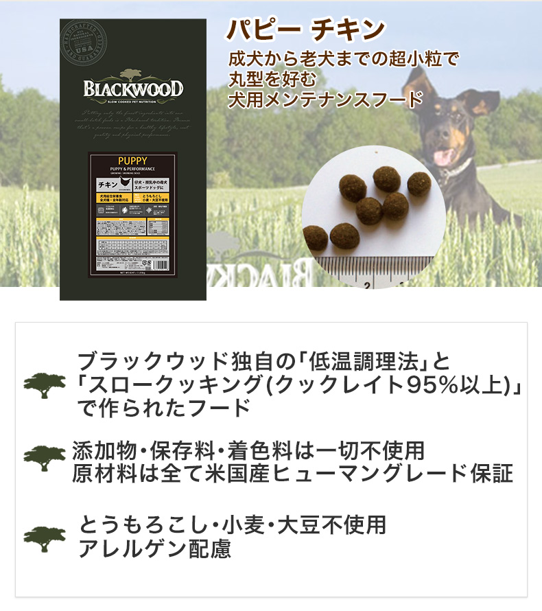 BLACKWOOD（ブラックウッド） パピー チキン 2.7kg 全犬種 離乳後