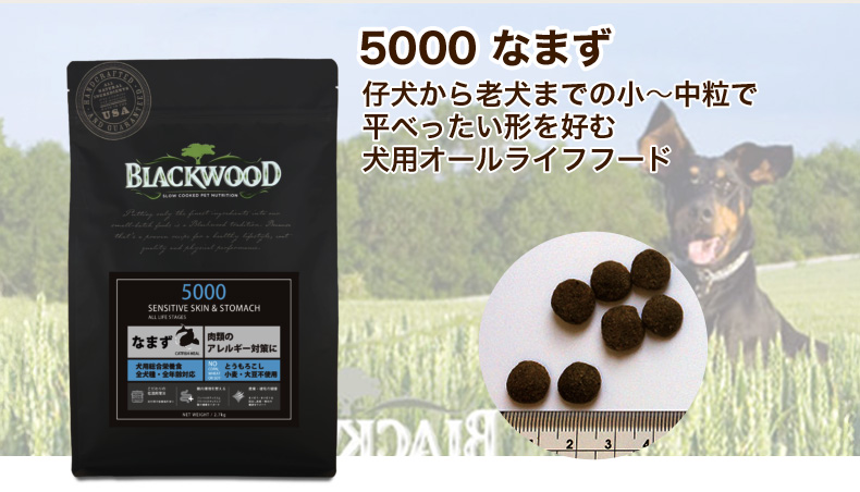 BLACKWOOD（ブラックウッド） ［ブラックウッド］5000 なまず 20kg