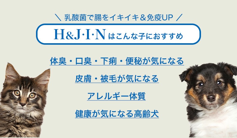 H&J EF-2001 犬、猫その他の動物用サプリメント 犬サプリ 猫サプリ 動物用プレミアム乳酸菌 H＆J・I・N 1g×30