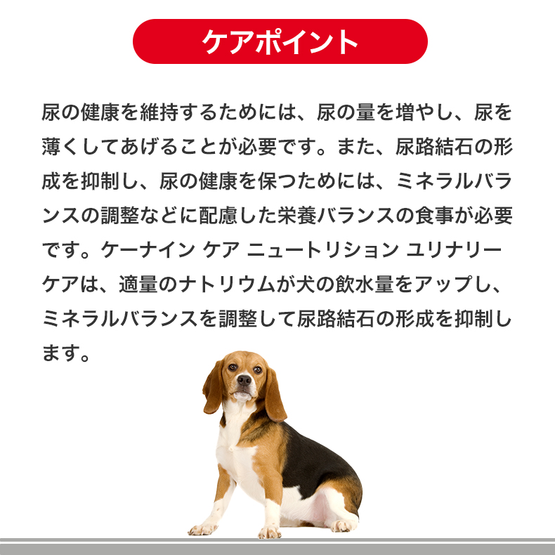 【お得な6個セット】ロイヤルカナン ミニ ユリナリーケア 2kg / 小型犬 健康な尿を維持したい犬用（生後10ヵ月齢以上） / CCN 犬 ドライフード ジッパー有り｜1096dog｜09