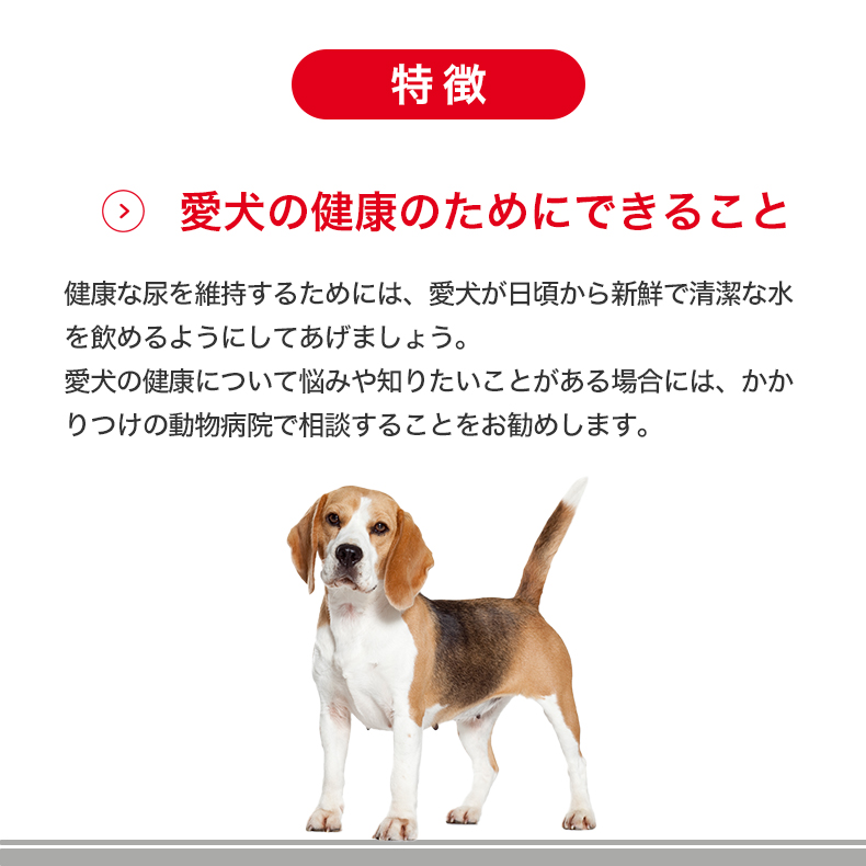 【お得な6個セット】ロイヤルカナン ミニ ユリナリーケア 2kg / 小型犬 健康な尿を維持したい犬用（生後10ヵ月齢以上） / CCN 犬 ドライフード ジッパー有り｜1096dog｜11