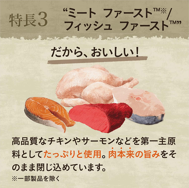 キャット ワイルド レシピ 成猫用 チキン＆ビーフ パテタイプ トレイ