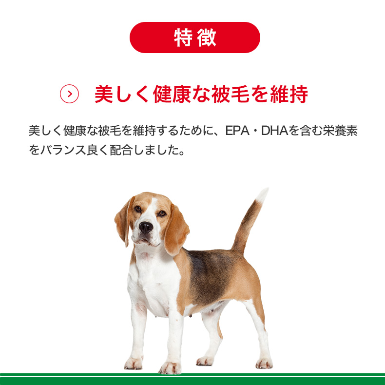 ロイヤルカナン（ROYAL CANIN） 【お得な48個セット】ロイヤルカナン