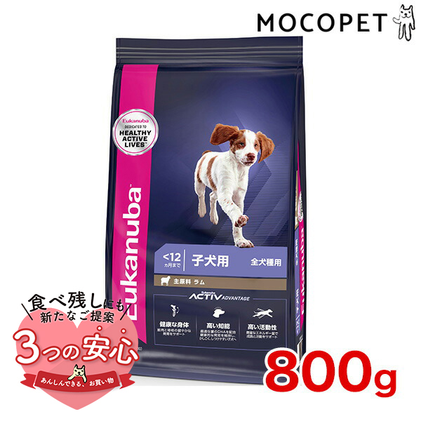 ユーカヌバ]Eukanuba パピー ラム＆ライス 800g / ドッグフード ドライフード 子犬用 犬 食物アレルギー対応  3182550909730 #w-162084 : w-162084-00-00 : モコペット - 通販 - Yahoo!ショッピング