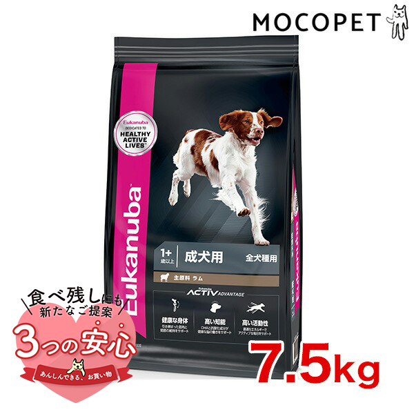 [桼̥]Eukanuba  饤 7.5kg / ɥåա ɥ饤ա   ʪ륮б 3182550909785 #w-162091-00-00