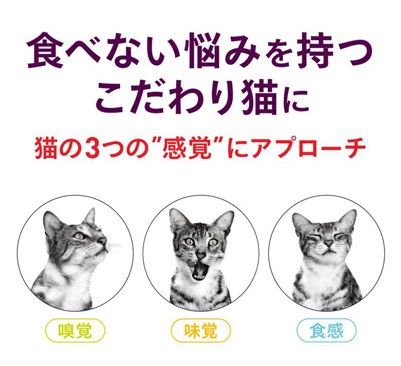 ロイヤルカナン センサリー 85g / スメル テイスト フィール / 香り 味 食感 にこだわる成猫用 生後12ヵ月齢以上 [ROYAL CANIN FHN-WET 猫用パウチ]｜1096dog｜09