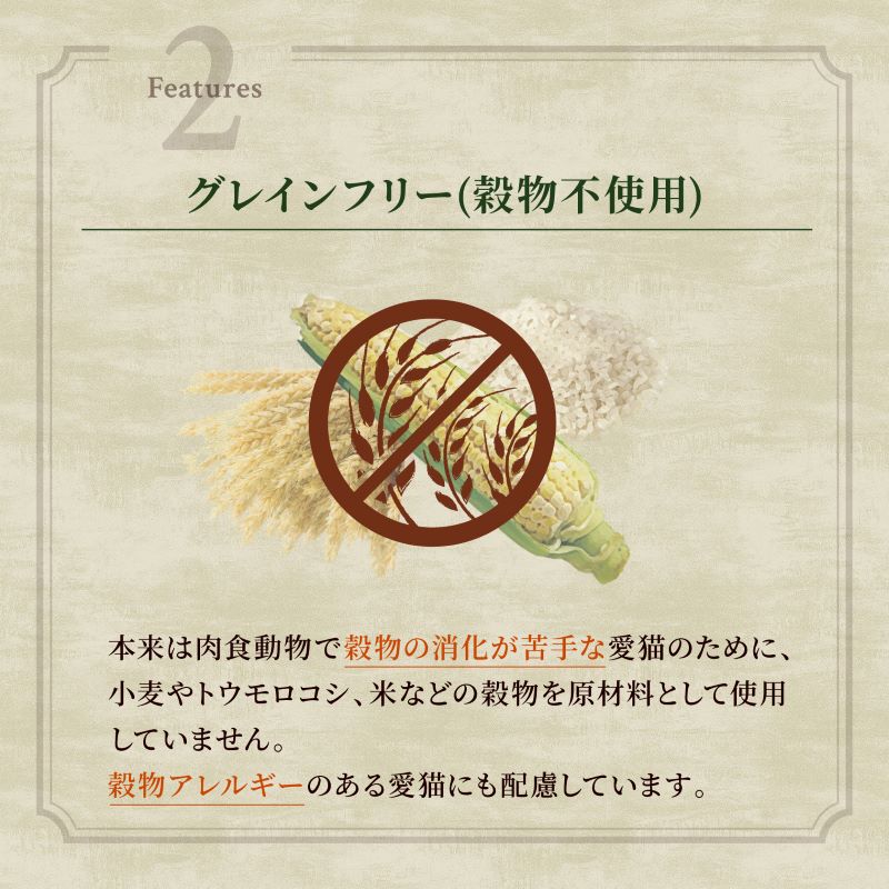 WILD RECIPE ワイルドレシピ ニュートロ エイジングケア チキン シニア