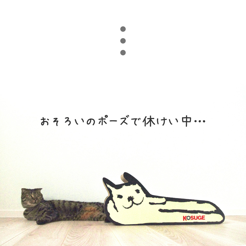 公式】フォークス サンシールドキャップ（ユニセックス