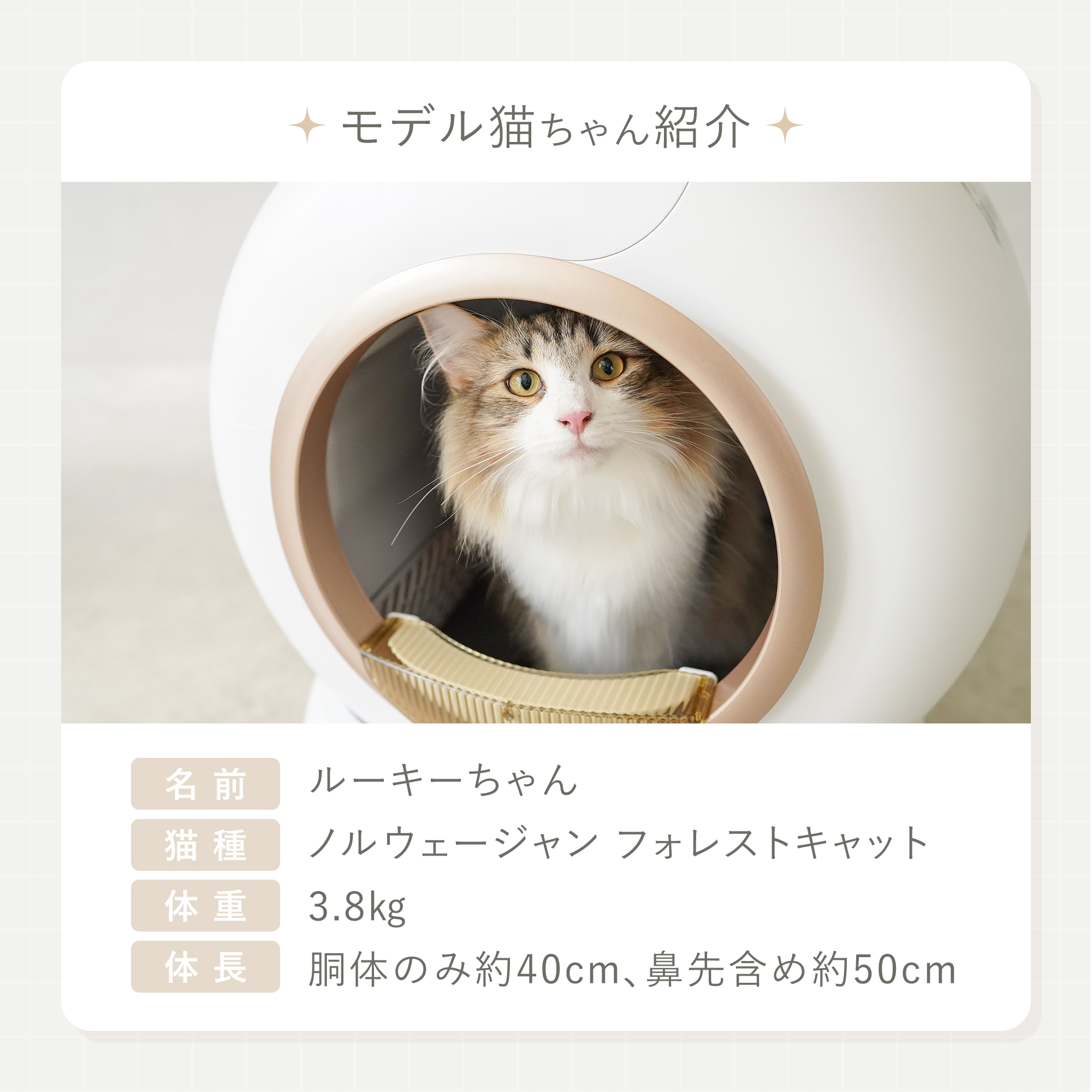 CAT POD キャットポッド スマート自動猫トイレ 猫用 全自動猫トイレ 猫