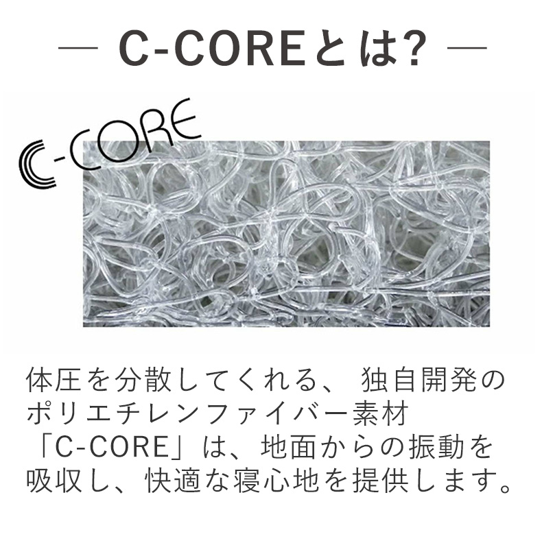 エアバギー シーコアマット ラージ DOME3ラージ＆DOME2 Mサイズ専用 キャリーバッグ 4580445430540 #w-172241-00-01_4