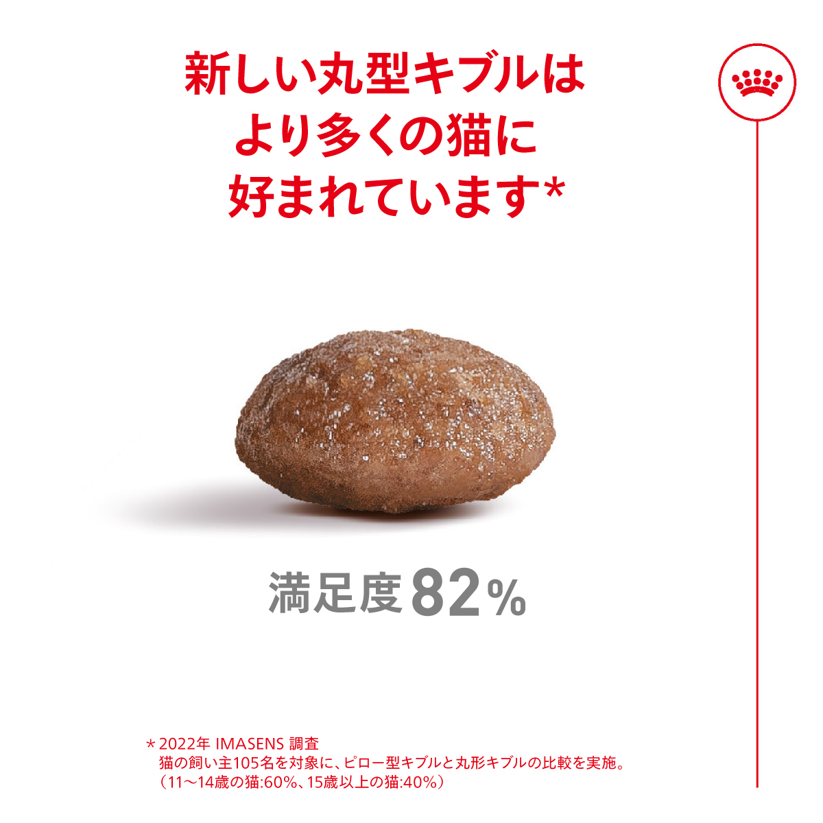 ロイヤルカナン（ROYAL CANIN） エイジング 15+ 15歳以上の高齢猫用