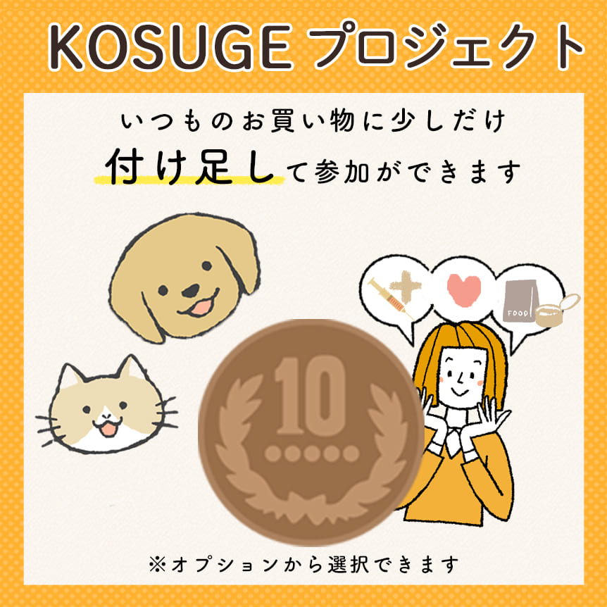 お得な2個セット】ロイヤルカナン 柴犬 成犬用 8kg / 柴犬 成犬用