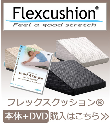 フレックスクッションDVDセット