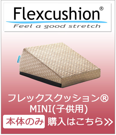 フレックスクッションMINI本体