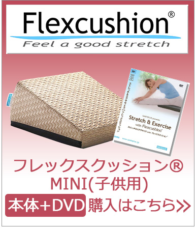 フレックスクッションMINI DVDセット