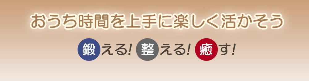 フィットネスクラブがつくったバランスボール スツール【送料無料】