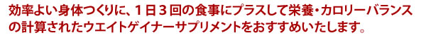 1日3回の食事にプラスして栄養・カロリーバランスの計算されたウエイトゲイナーサプリメントをおすすめいたします。
