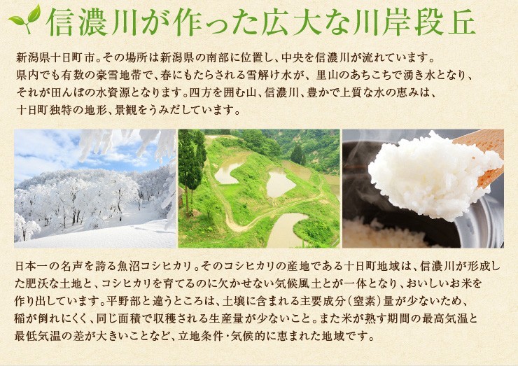 新潟県 魚沼産こしひかり 棚田米 令和7年産 精米 10kg : とおかまち