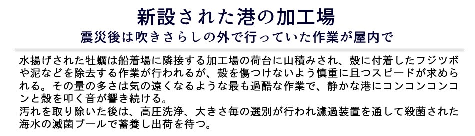 海遊 生牡蠣 宮城県石巻 雄勝湾 カキ漁師