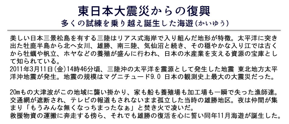 海遊 生牡蠣 宮城県石巻 雄勝湾 カキ漁師