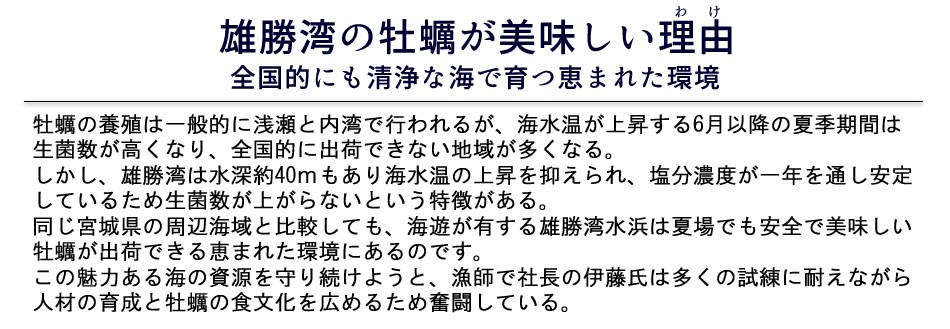 海遊 生牡蠣 宮城県石巻 雄勝湾 カキ漁師