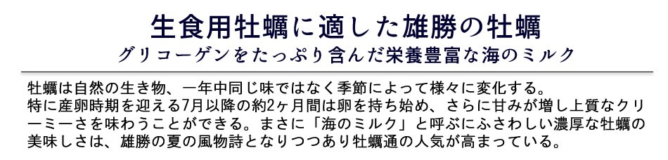 海遊 生牡蠣 宮城県石巻 雄勝湾 カキ漁師