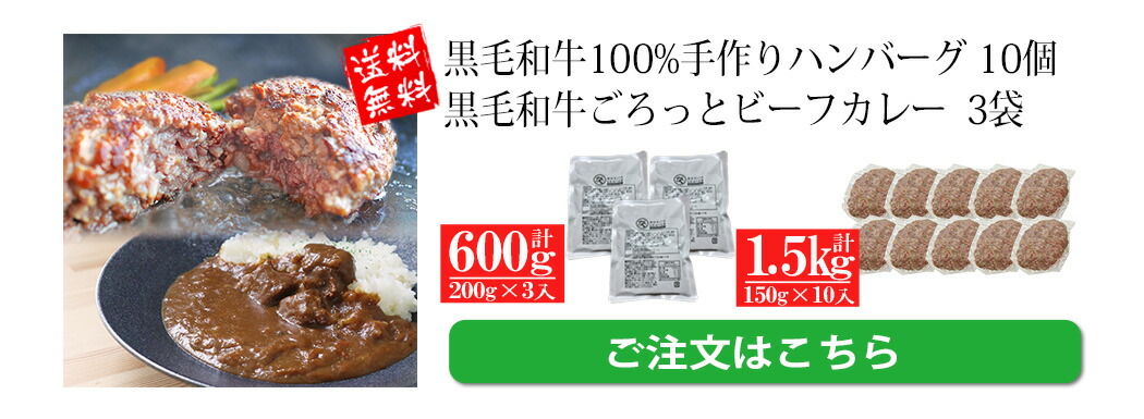 ビーフカレー・ハンバーグセット