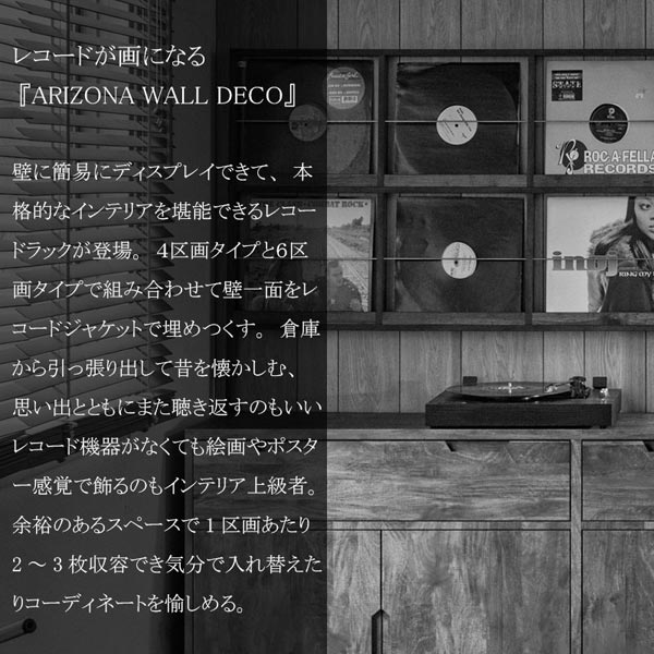 超薄型設計 レコードディスプレイ 4LP 壁面収納 ウォールディスプレイ