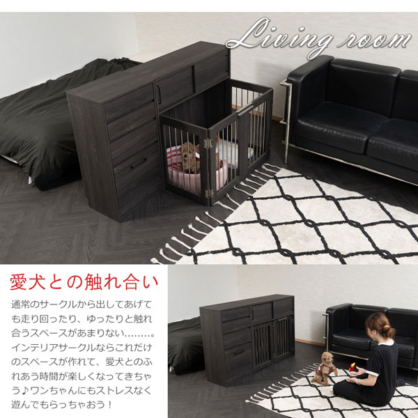 愛犬との触れ合い