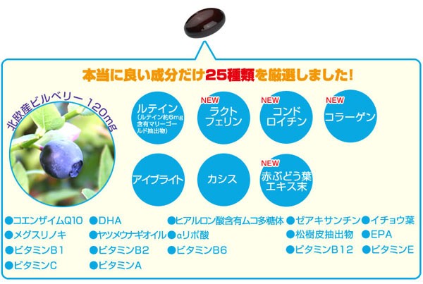 ブルーベリー＆ルテイン 31粒×3袋組90日分 【リフレ】 : 1147こだわる