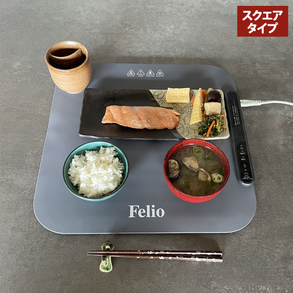 Felio（フェリオ） フードウォーマー スクエアタイプ 80度 100度 常温