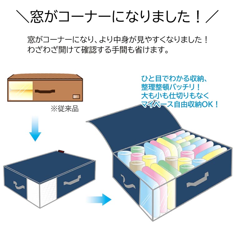 乾っとデオケースライト 深型 収納ケース 2個セット 乾っとパック 収納