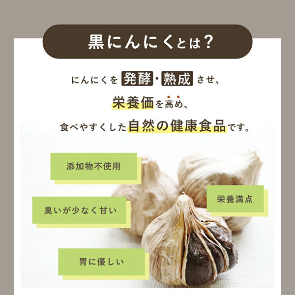 大容量 黒にんにく発酵器DX おうちで作る健康食 自宅で発酵 簡単操作