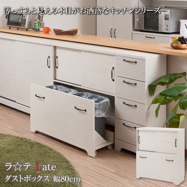 ゴミ箱 ダストボックス 2分別 キッチンカウンター キッチン収納 収納棚