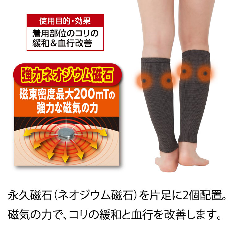 永久磁石(ネオジウム磁石)を片足に2個配置