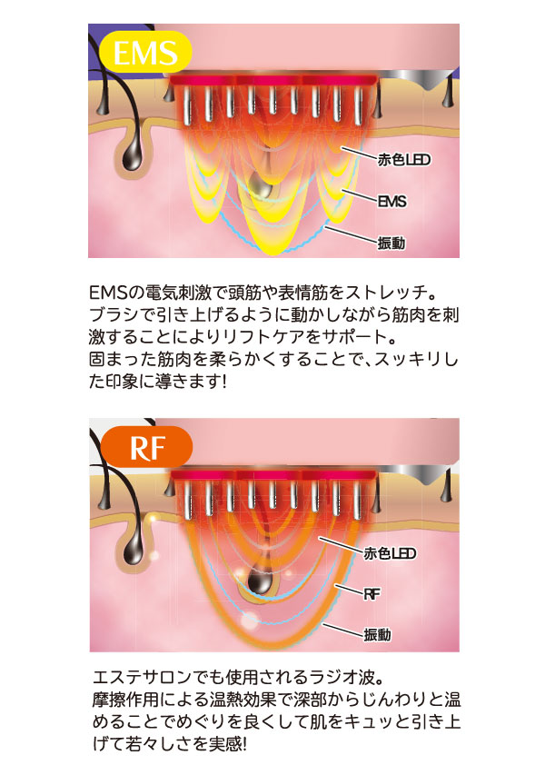 EMS＆RF リフトブラシボーテ フェイスリフトケア 頭皮ケア 全身
