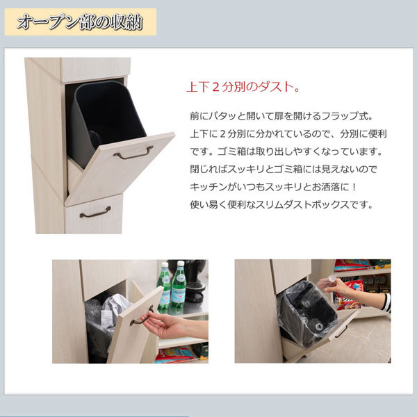 薄型ダストボックス（幅65） ペール付 スリム2分別ダストボックス 幅25cm ゴミ箱 シンプルモデル