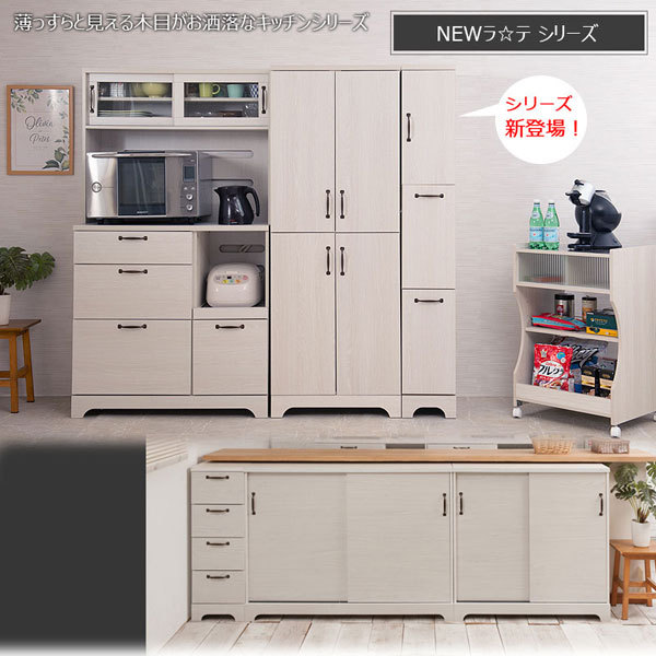 ペール付 スリム2分別ダストボックス 幅25cm ゴミ箱 シンプルモデル