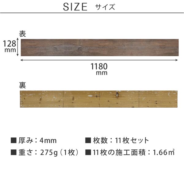 サイズ