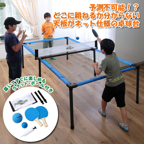 ネット仕様卓球台 どこ跳ねピンポン ラケットボール付 室内遊戯 TAN ネット仕様卓球台 どこ跳ねピンポン ラケットボール付 室内遊戯 TAN
