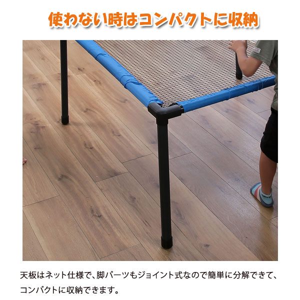 どこ跳ねピンポン ネット仕様卓球台 ラケットボール付 室内遊戯
