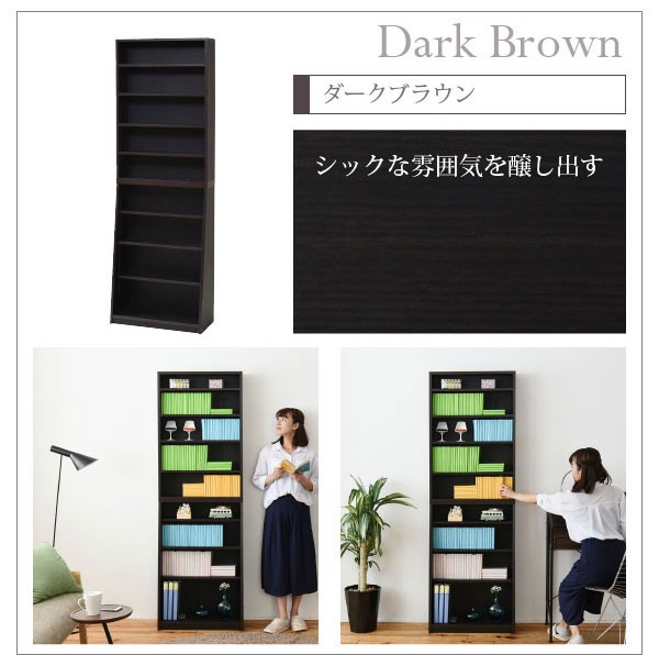 本棚 薄型 本体 幅60cm 壁面収納 収納家具 1cmピッチ 大収納ラック CD