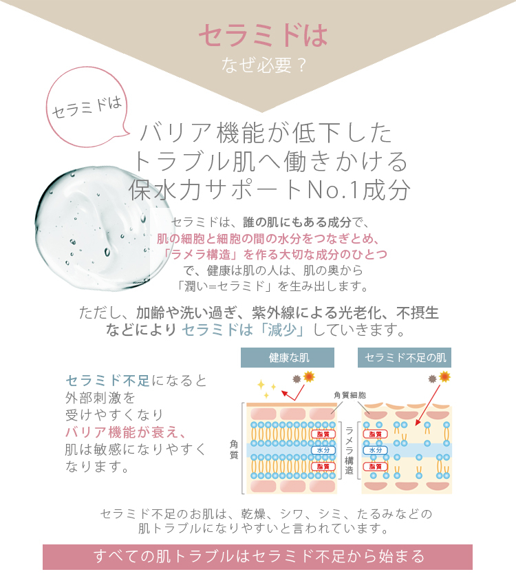 セラミドはなぜ必要