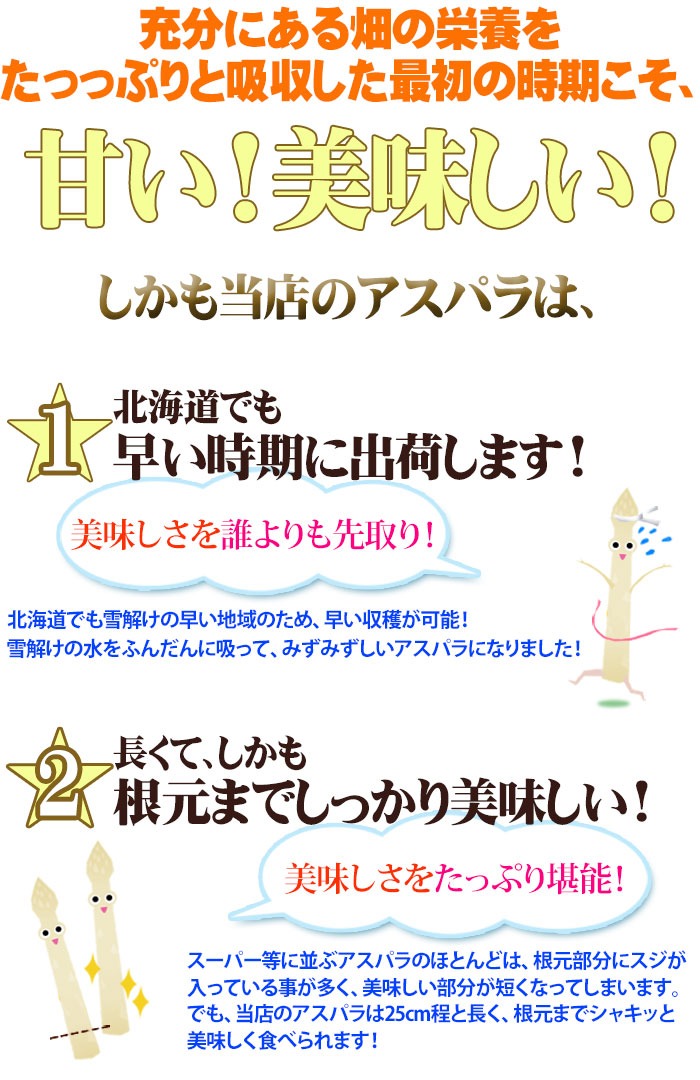 ホワイトアスパラ 4Lサイズ