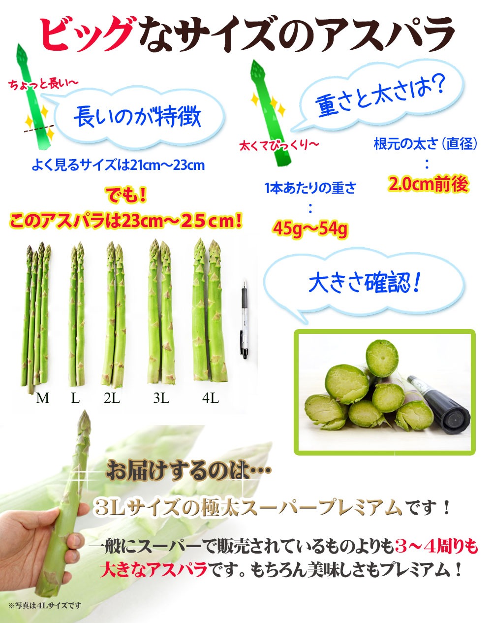 ビックなアスパラの大きさ３Ｌ