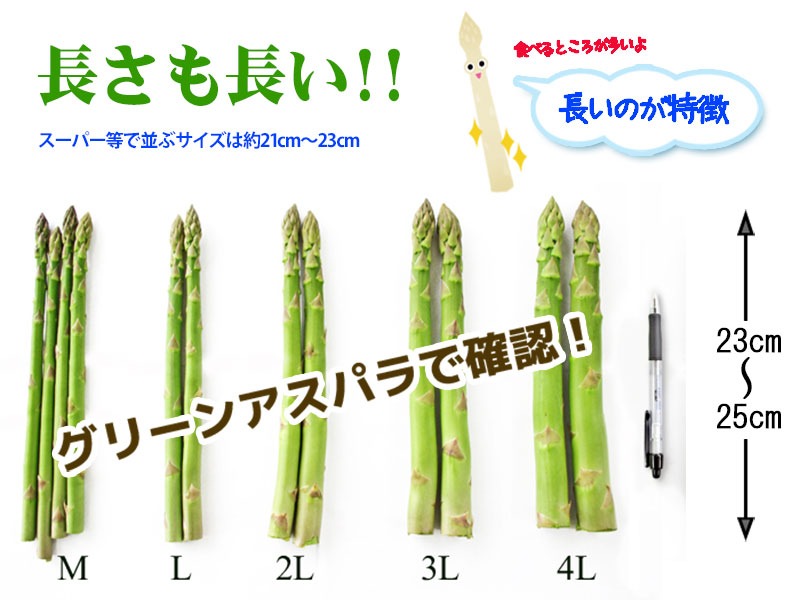 アスパラ サイズ 大きさ
