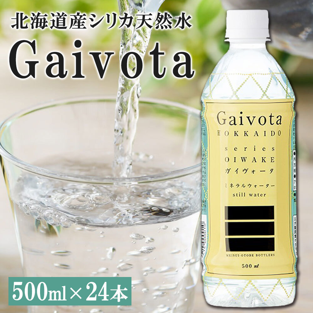 gaivota500sq-2.jpg