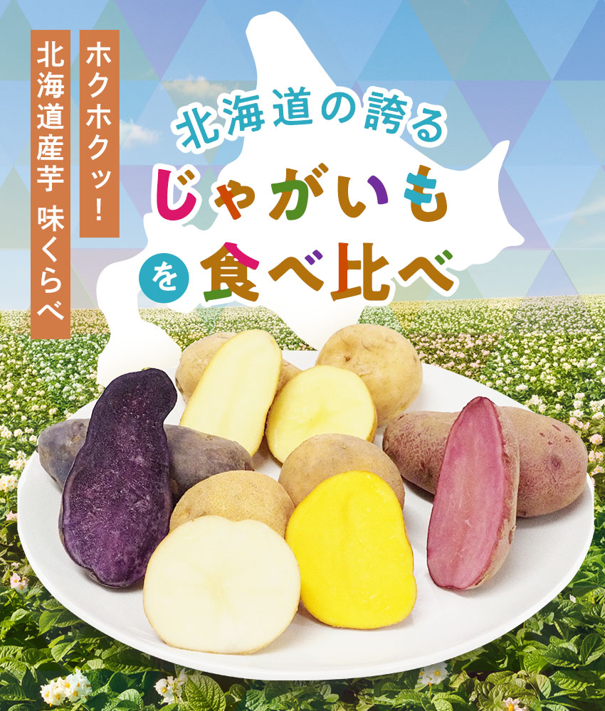 じゃがいも 食べくらべ 北海道産 6種各500g合計3kg（ 男爵 北あかり